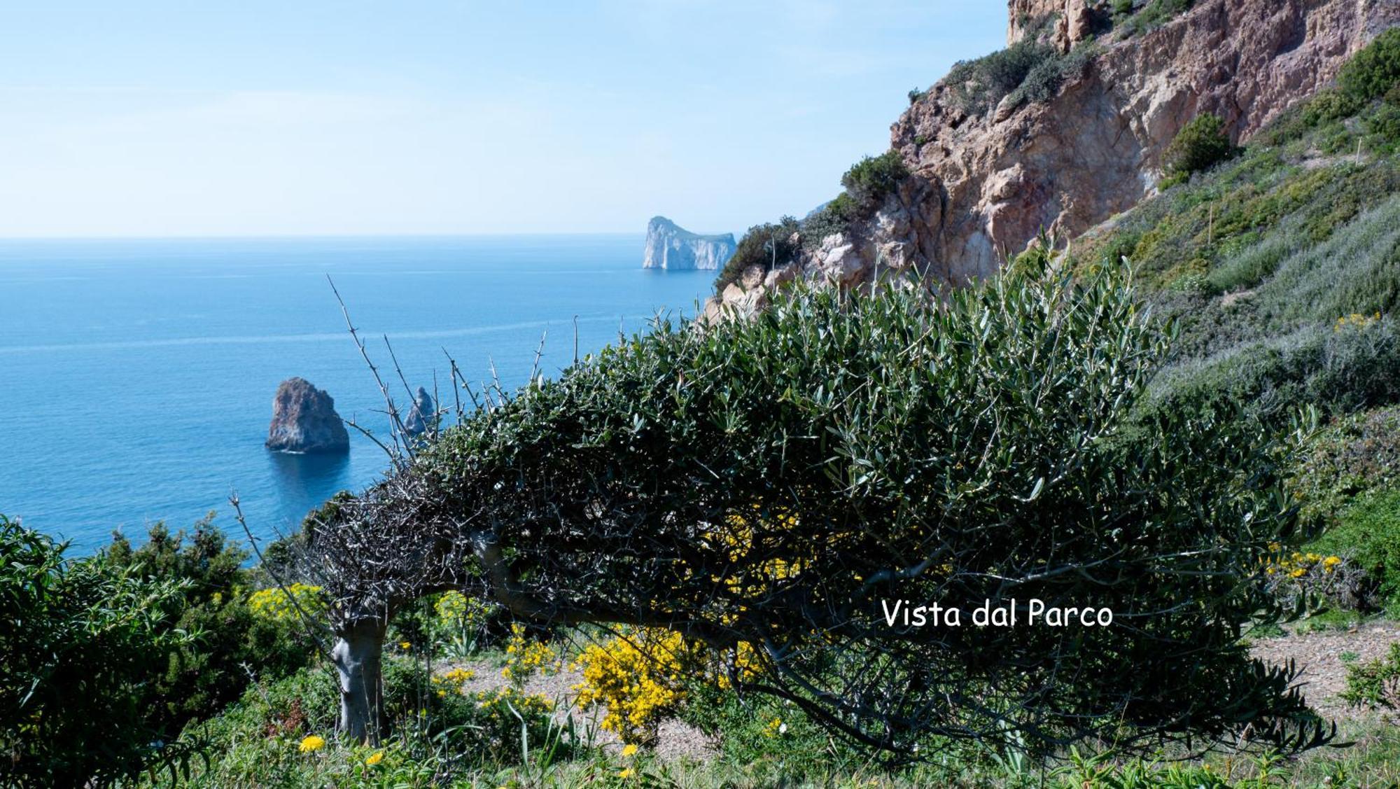La Casa Del Mare Tanca Piras Villa Nebida ภายนอก รูปภาพ